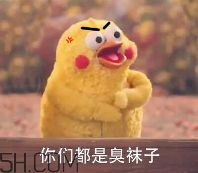 你們都是臭襪子什么意思？你們都是臭襪子表情包