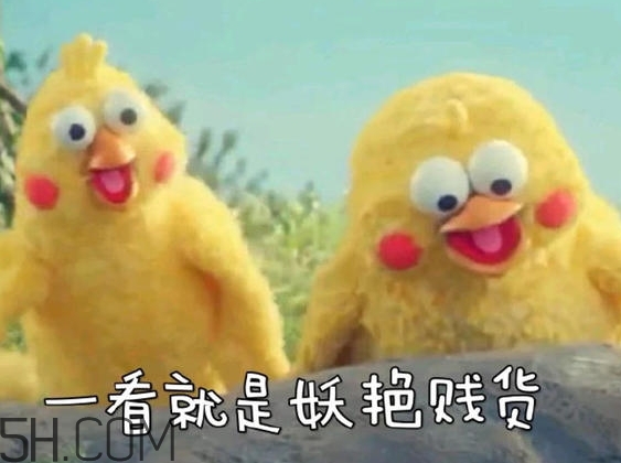 你們都是臭襪子什么意思？你們都是臭襪子表情包