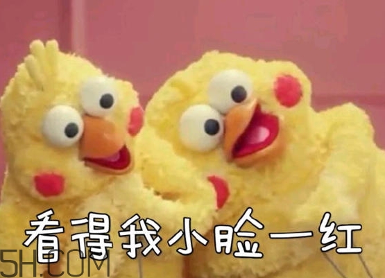 你們都是臭襪子什么意思？你們都是臭襪子表情包