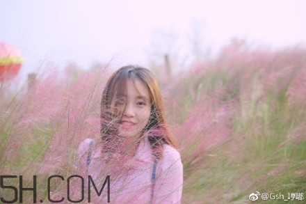 粉黛亂子是什么植物？粉黛亂子草花語