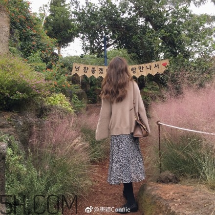 粉黛亂子是什么植物？粉黛亂子草花語