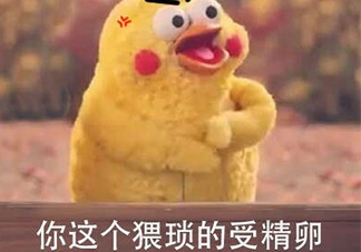 你這個猥瑣的受精卵是什么意思？你這個猥瑣的受精卵表情包
