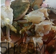海虹蟹怎么做好吃？海紅蟹的做法