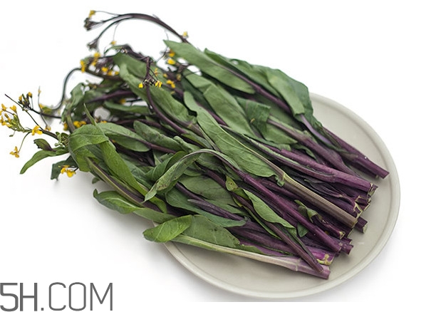 紅菜苔為什么炒出來的汁是藍(lán)色的？紅菜苔是什么菜