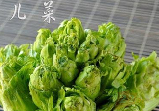 青菜頭是不是兒菜？大頭菜和兒菜的區(qū)別
