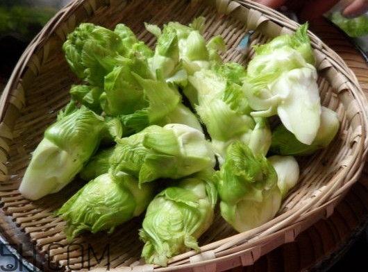 兒菜為什么叫兒菜？兒菜什么季節(jié)吃的