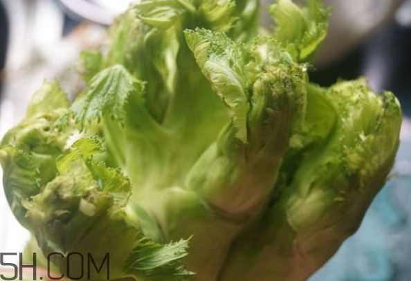 兒菜為什么叫兒菜？兒菜什么季節(jié)吃的