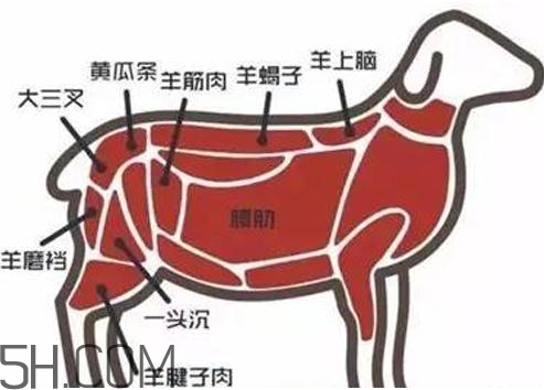 涮羊肉哪個部位最好吃？涮羊肉都有什么菜？