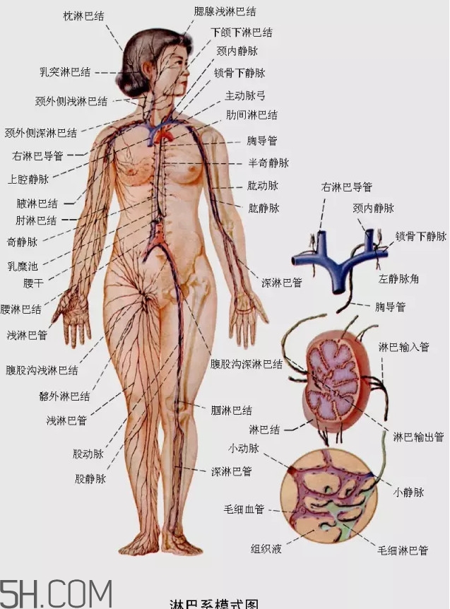 淋巴癌最嚴(yán)重時(shí)會(huì)成什么樣子？淋巴瘤能治好嗎