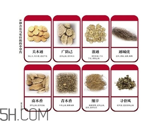 含馬兜鈴酸的藥都不能吃嗎？馬兜鈴酸真的會致癌嗎