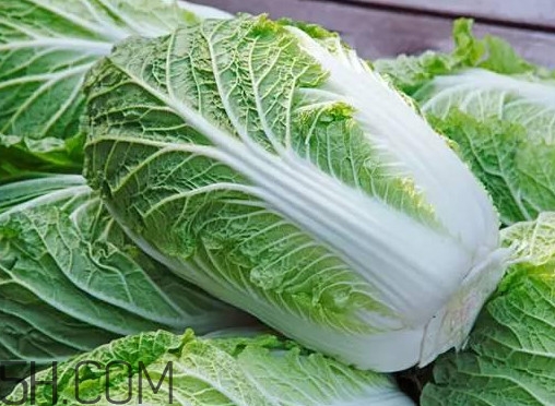 大白菜什么時候種最合適？大白菜怎么做好吃