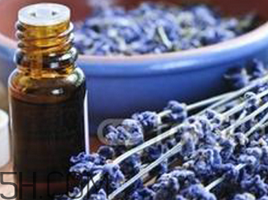 如何用精油護(hù)發(fā)？薰衣草精油護(hù)發(fā)怎么用？
