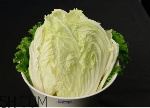 大白菜起源是哪里？大白菜產(chǎn)地分布有哪些