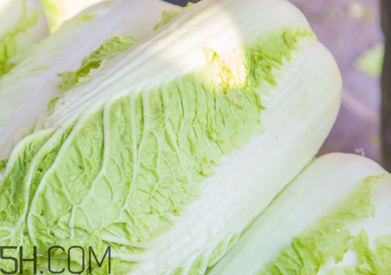 大白菜可以生吃嗎？大白菜可以隔夜吃嗎