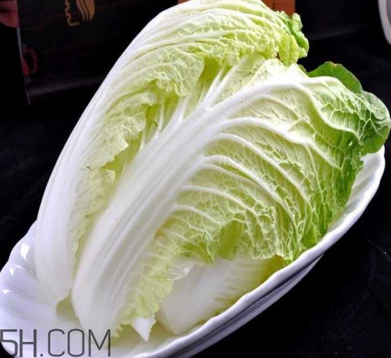 大白菜起源是哪里？大白菜產(chǎn)地分布有哪些