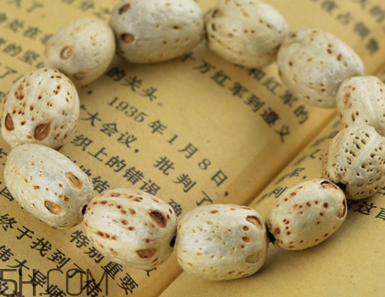 南酸棗是棗嗎？南酸棗的核如何做手串