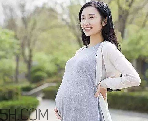 懷孕了可以吃可樂雞翅嗎？可樂雞翅什么人不能吃