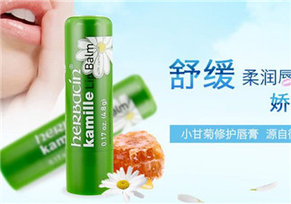 賀本清德國小甘菊潤唇膏好用嗎？賀本清德國小甘菊潤唇膏測評