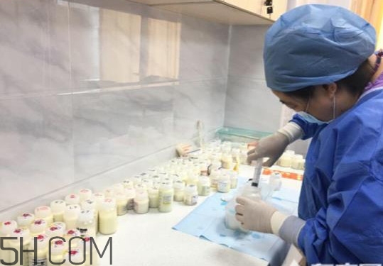 人乳庫(kù)是什么？為什么成立人乳庫(kù)