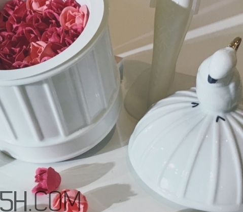 拉杜麗鳥籠腮紅多少錢？laduree2018拉杜麗鳥籠腮紅試色