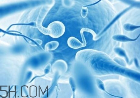 精子不液化是什么原因造成的？精子不液化吃什么藥好？