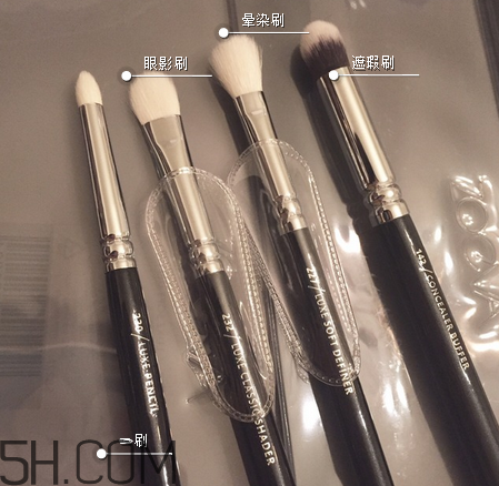 zoeva化妝刷哪里有賣？化妝刷的毛質分類