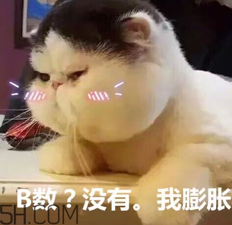 b數(shù)沒有我膨脹什么意思？b數(shù)沒有我膨脹表情包