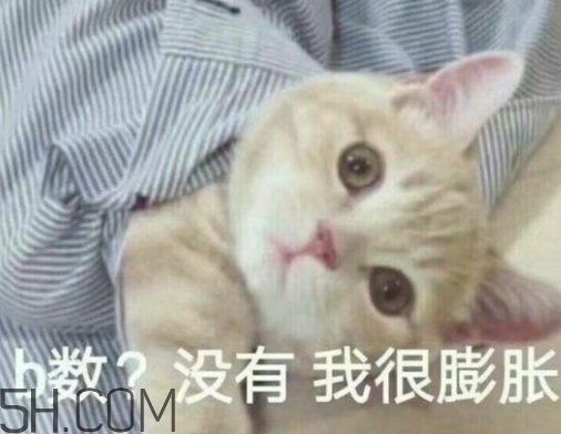 b數(shù)沒有我膨脹什么意思？b數(shù)沒有我膨脹表情包