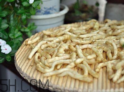 姜芽能吃嗎？姜芽怎么吃