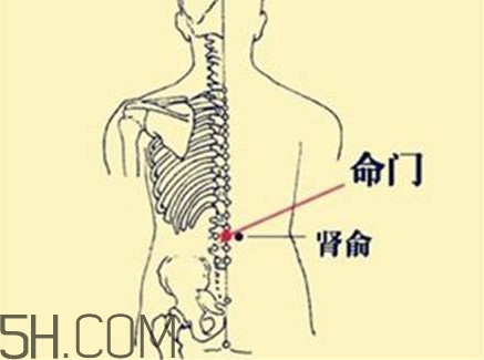 小腿抽筋可以跑步嗎？小腿抽筋可以拔火罐嗎