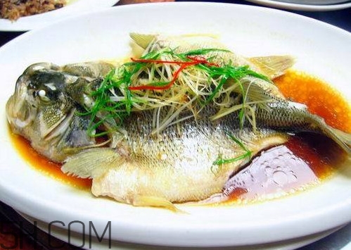 松江鱸魚怎么做？松江鱸魚養(yǎng)殖技術(shù)
