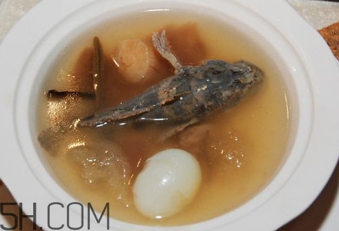 松江鱸魚哪里有？松江鱸魚什么季節(jié)吃最好