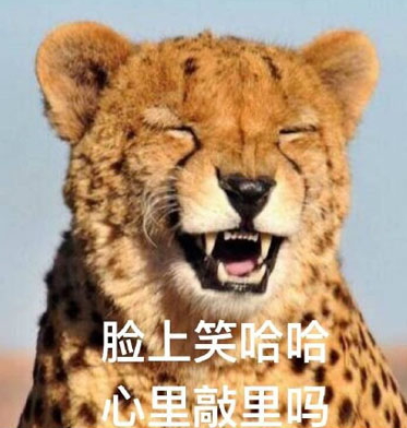 敲里lailai是什么意思？敲里lailai表情包無(wú)水印