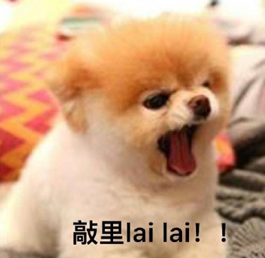 敲里lailai是什么意思？敲里lailai表情包無(wú)水印