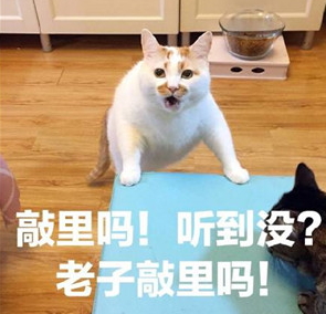 敲里lailai是什么意思？敲里lailai表情包無(wú)水印
