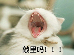 敲里lailai是什么意思？敲里lailai表情包無(wú)水印