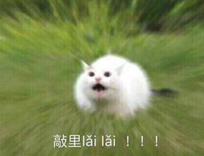 敲里lailai是什么意思？敲里lailai表情包無(wú)水印