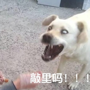 敲里lailai是什么意思？敲里lailai表情包無(wú)水印
