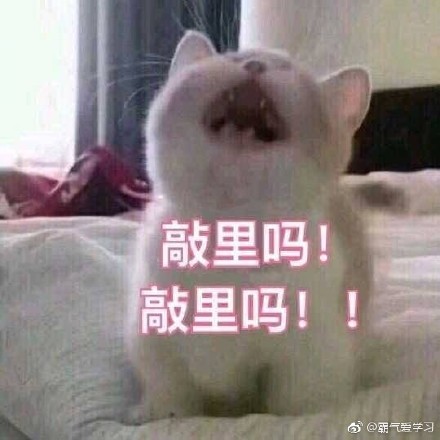 敲里lailai是什么意思？敲里lailai表情包無(wú)水印