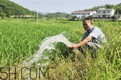 女生說抽水什么意思？女生發(fā)消息想抽水什么意思？