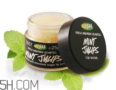 lush唇部磨砂膏好用嗎？lush唇部磨砂膏多少錢？