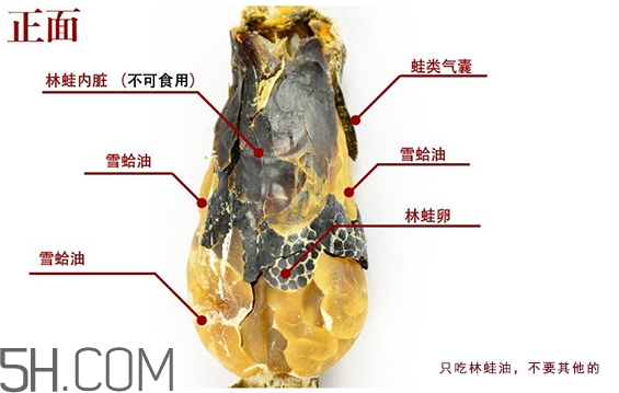 林蛙哪些部位不能吃？林蛙有什么營養(yǎng)