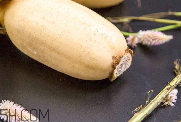 蓮藕是什么季節(jié)成熟的？蓮藕什么時候種植