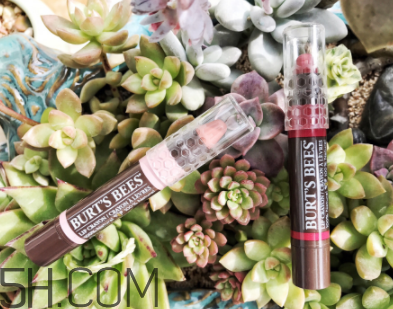 小蜜蜂唇膏筆多少錢？小蜜蜂唇膏筆很貴嗎？