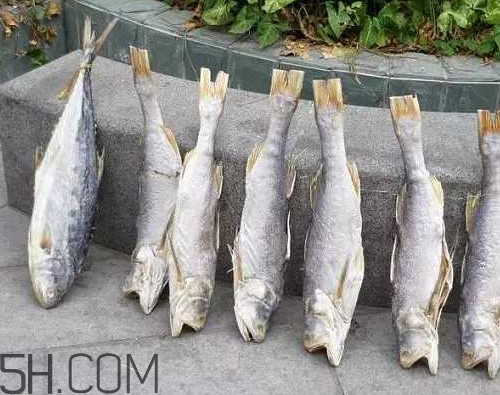 咸魚(yú)不能和什么一起吃？咸魚(yú)是什么意思