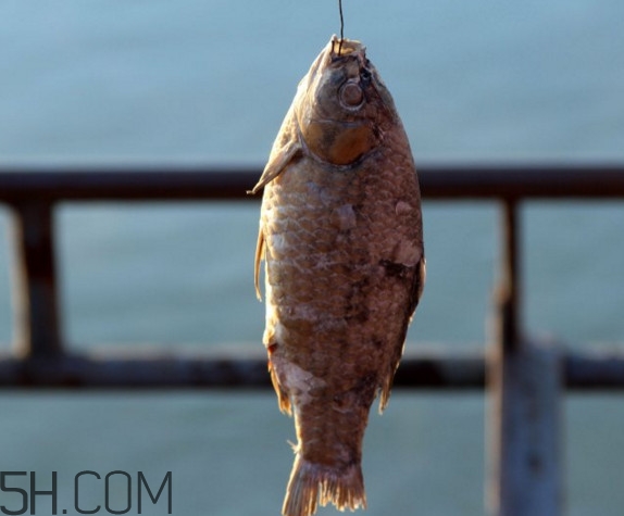 咸魚什么人不能吃？怎樣去除咸魚的咸