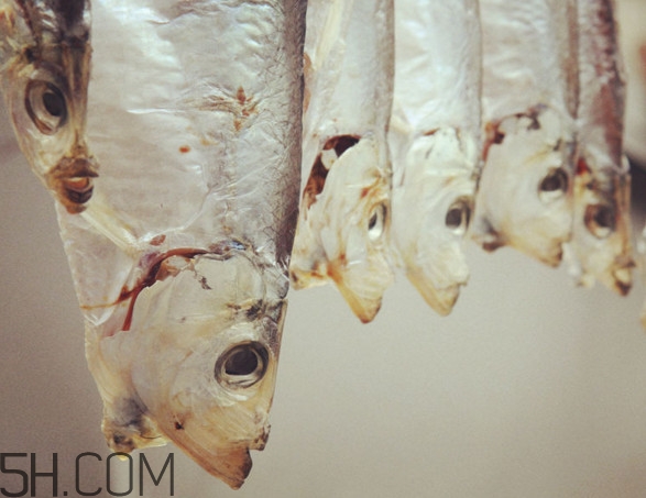 腌咸魚鹽和魚的比例是多少？咸魚一般腌多久才能曬