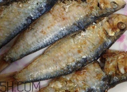 咸魚(yú)是不是海鮮？咸魚(yú)是不是咸水魚(yú)？