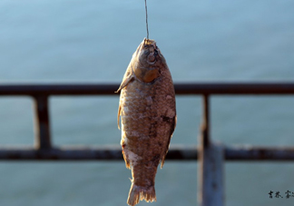 咸魚什么人不能吃？怎樣去除咸魚的咸