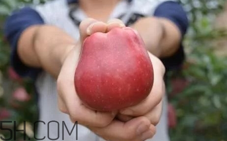 如何鑒別花牛蘋(píng)果？為什么叫花牛蘋(píng)果